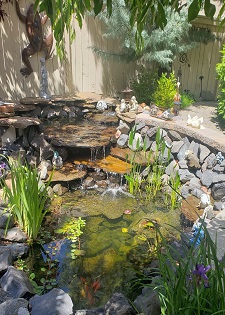 Pond cleaning Sample